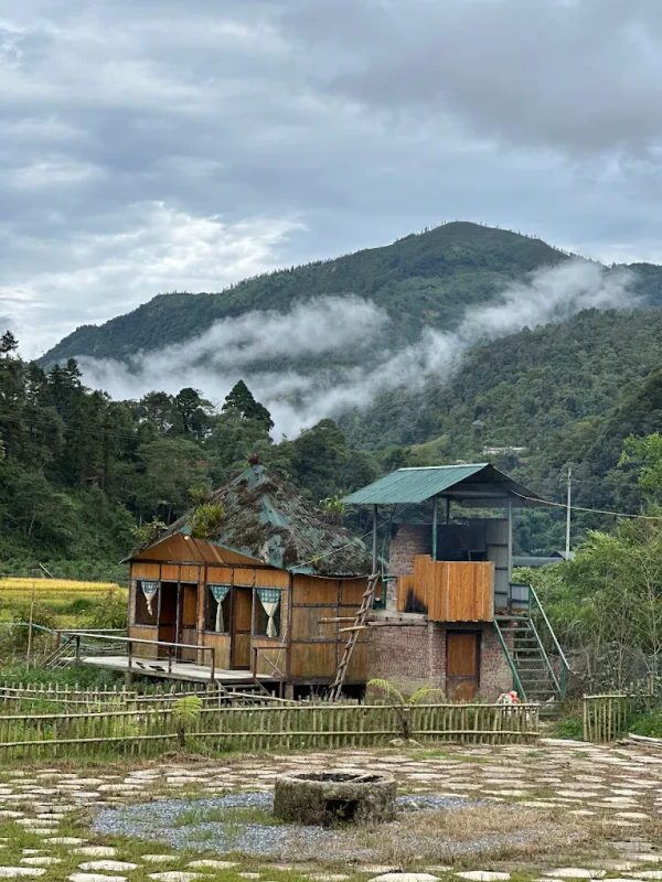 Bản Tả Phìn - SaPa - ảnh 6